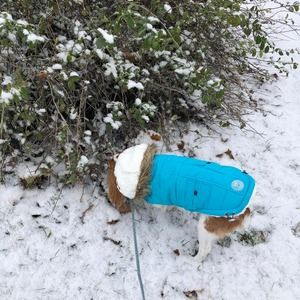 Meet your Posher, Josée